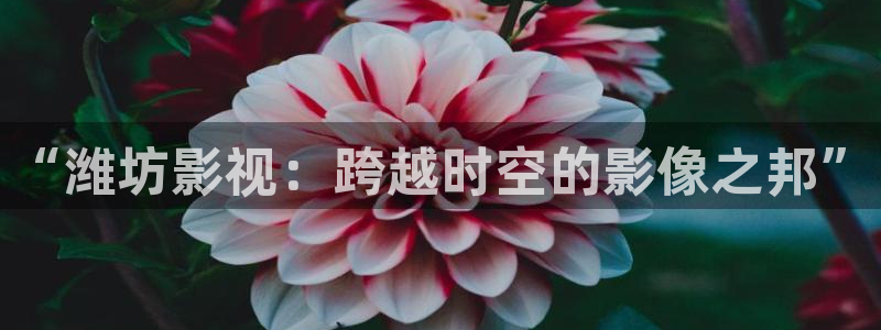 酷客影院2024：“濰坊影視：跨越時(shí)空的影像之邦”